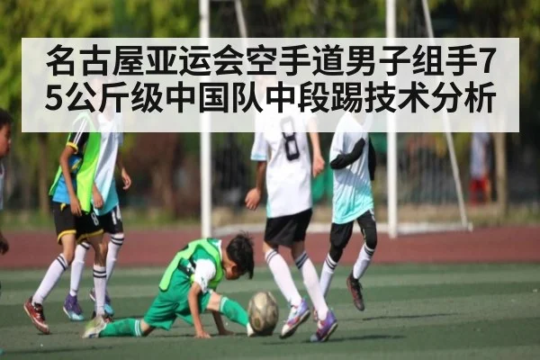 名古屋亚运会空手道男子组手75公斤级中国队中段踢技术分析